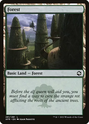 Forest 281