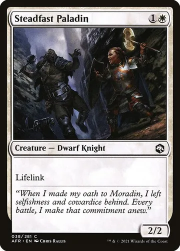 Steadfast Paladin 38