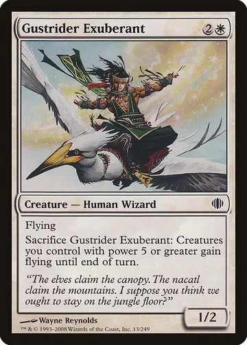 Gustrider Exuberant 13