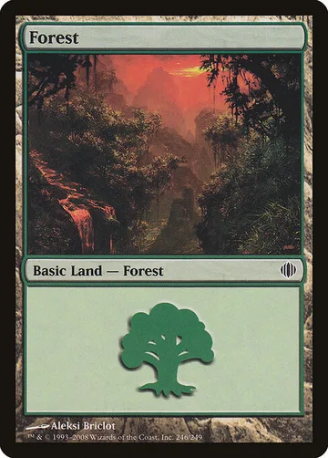 Forest 246