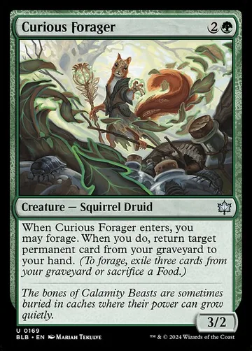 Curious Forager 169, carta de Magic: The Gathering de Bloomburrow