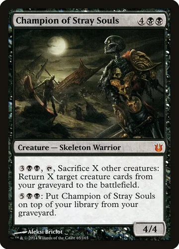 Champion of Stray Souls 63