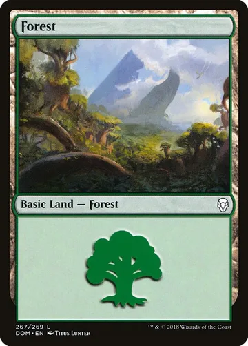 Forest 267
