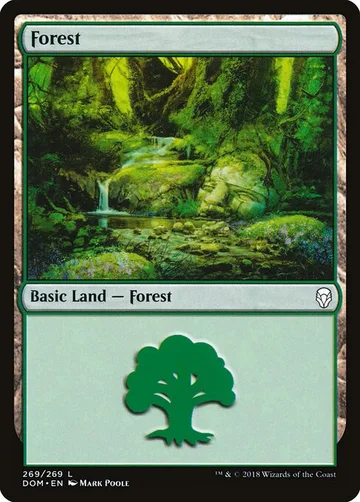 Forest 269