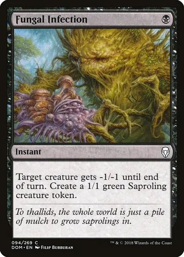 Fungal Infection 94