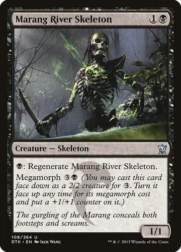 Marang River Skeleton 108