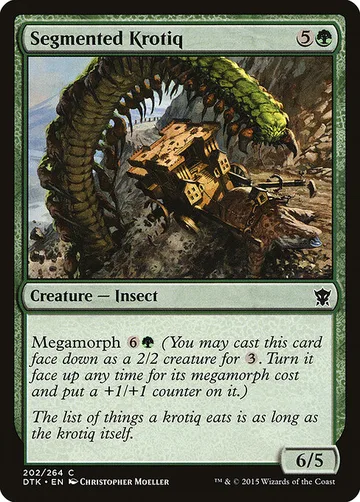 Segmented Krotiq 202