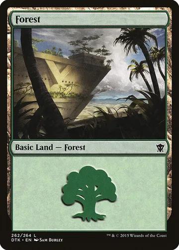 Forest 262