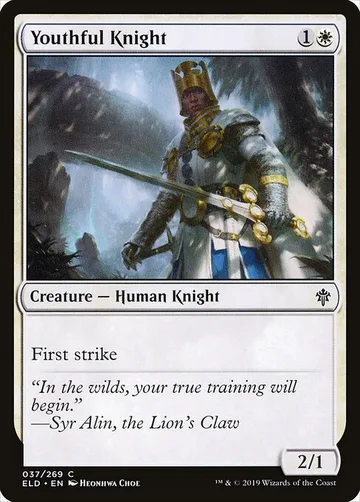 Youthful Knight 37