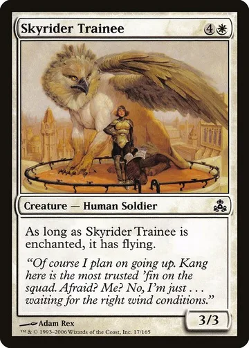 Skyrider Trainee 17