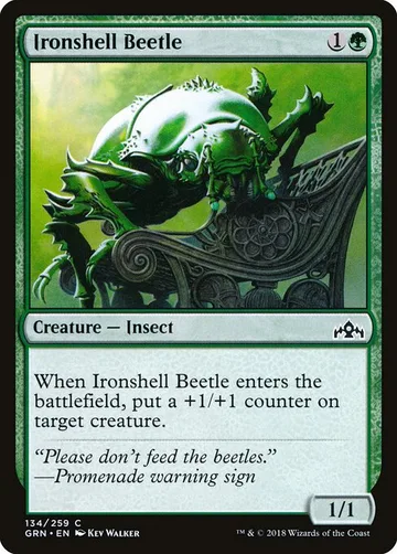 Ironshell Beetle 134