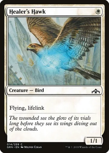 Healer's Hawk 14