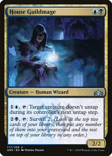 House Guildmage 177, carta de Magic: The Gathering de Guilds of Ravnica