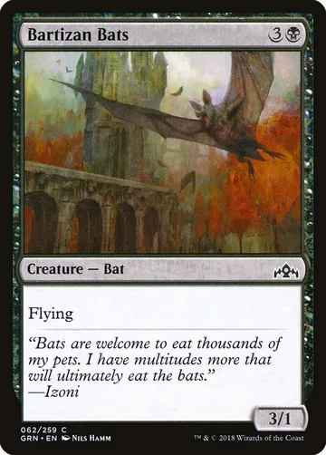 Bartizan Bats 62