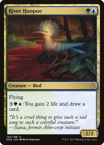River Hoopoe 143
