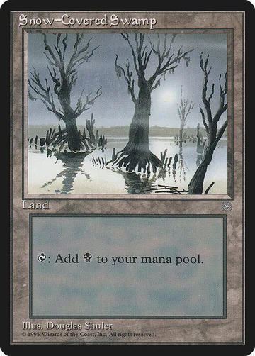 Snow-Covered Swamp 372
