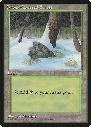 Snow-Covered Forest 383