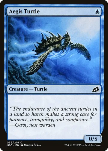 Aegis Turtle 39