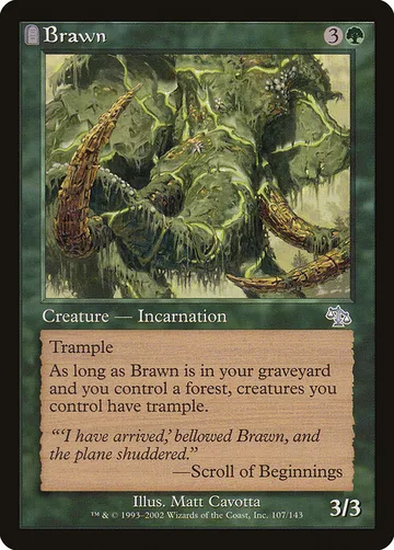 Brawn 107