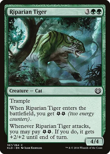 Riparian Tiger 167