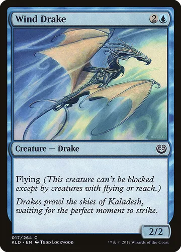 Wind Drake
