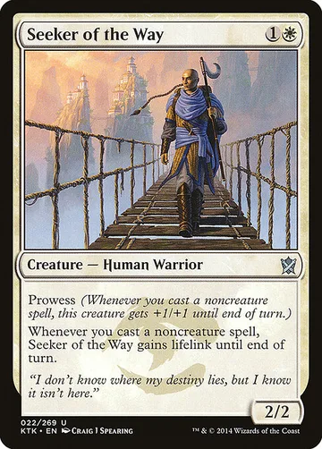 Seeker of the Way 22
