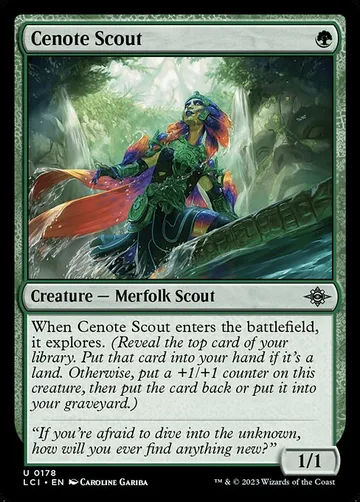 Cenote Scout 178