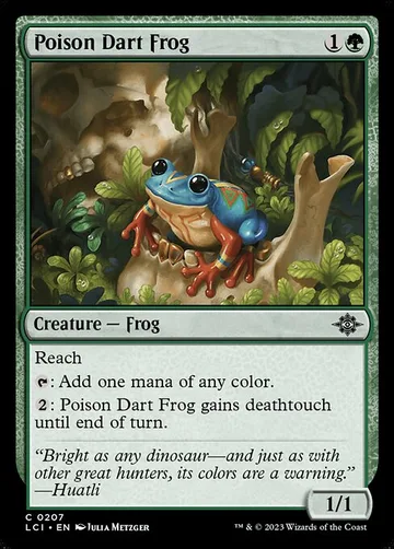 Poison Dart Frog 207