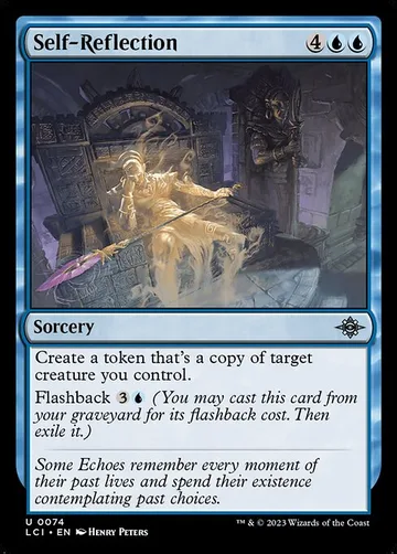 Self-Reflection 74