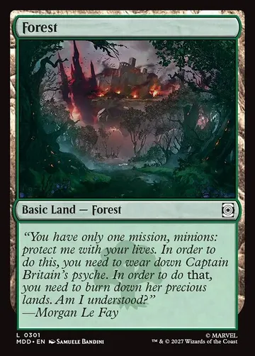 Forest 301