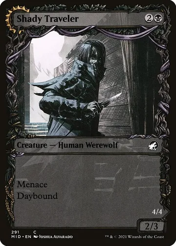 Shady Traveler // Stalking Predator 291