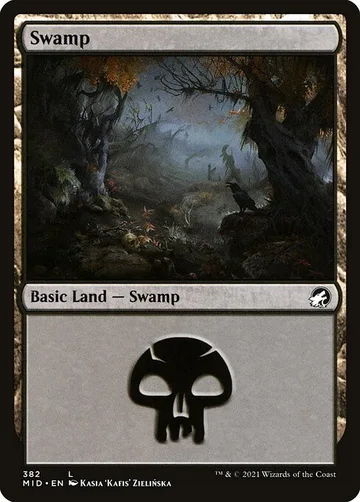Swamp 382