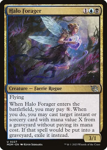 Halo Forager 227