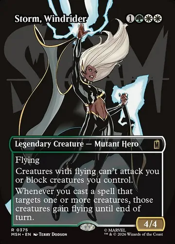 Storm, Windrider 375