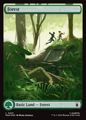 Forest 441