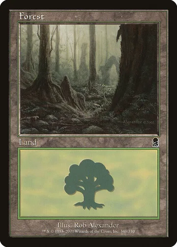 Forest 348, carta de Magic: The Gathering de Odyssey