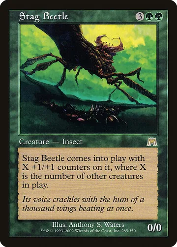 Stag Beetle 285
