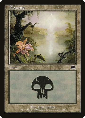 Swamp 341