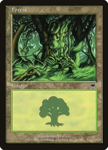 Forest 348