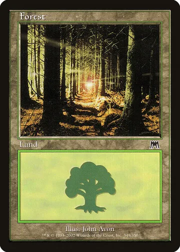 Forest 349