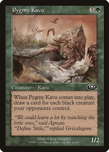 Pygmy Kavu 88