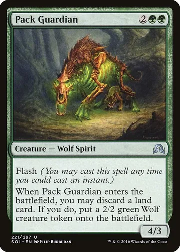Pack Guardian 221