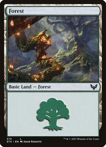 Forest 375, carta de Magic: The Gathering de Strixhaven: School of Mages