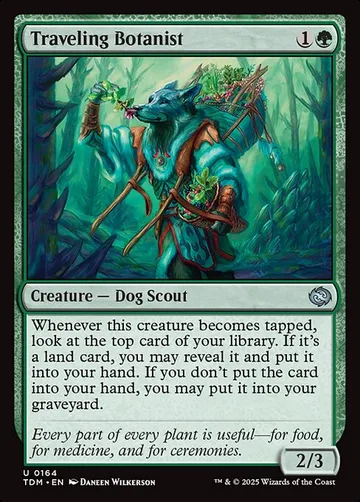 Traveling Botanist 164, carta de Magic: The Gathering de Tarkir: Dragonstorm