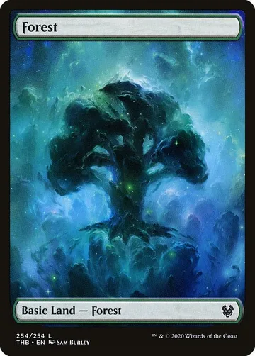 Forest 254