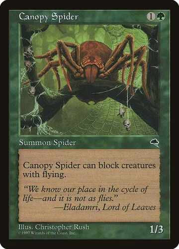 Canopy Spider 217