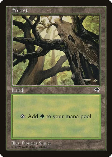 Forest 347, carta de Magic: The Gathering de Tempest