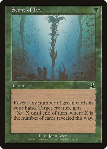 Scent of Ivy
