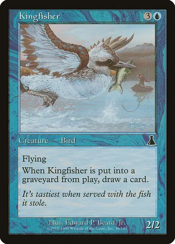 Kingfisher 36