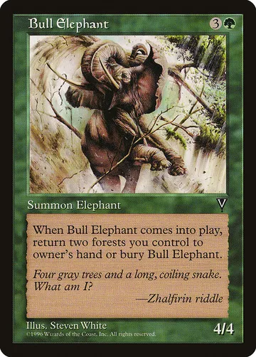 Bull Elephant 101